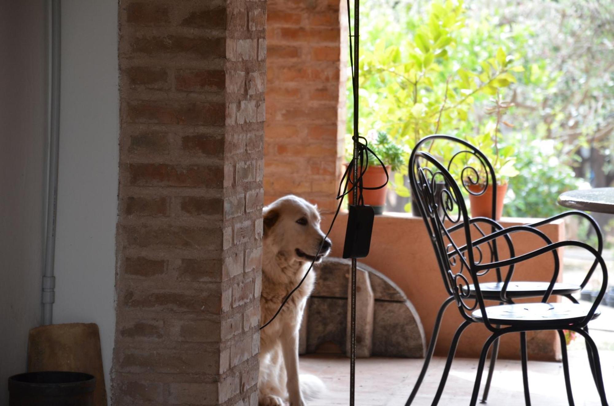 Borgo Piazza Bed & Breakfast Catanzaro Oda fotoğraf