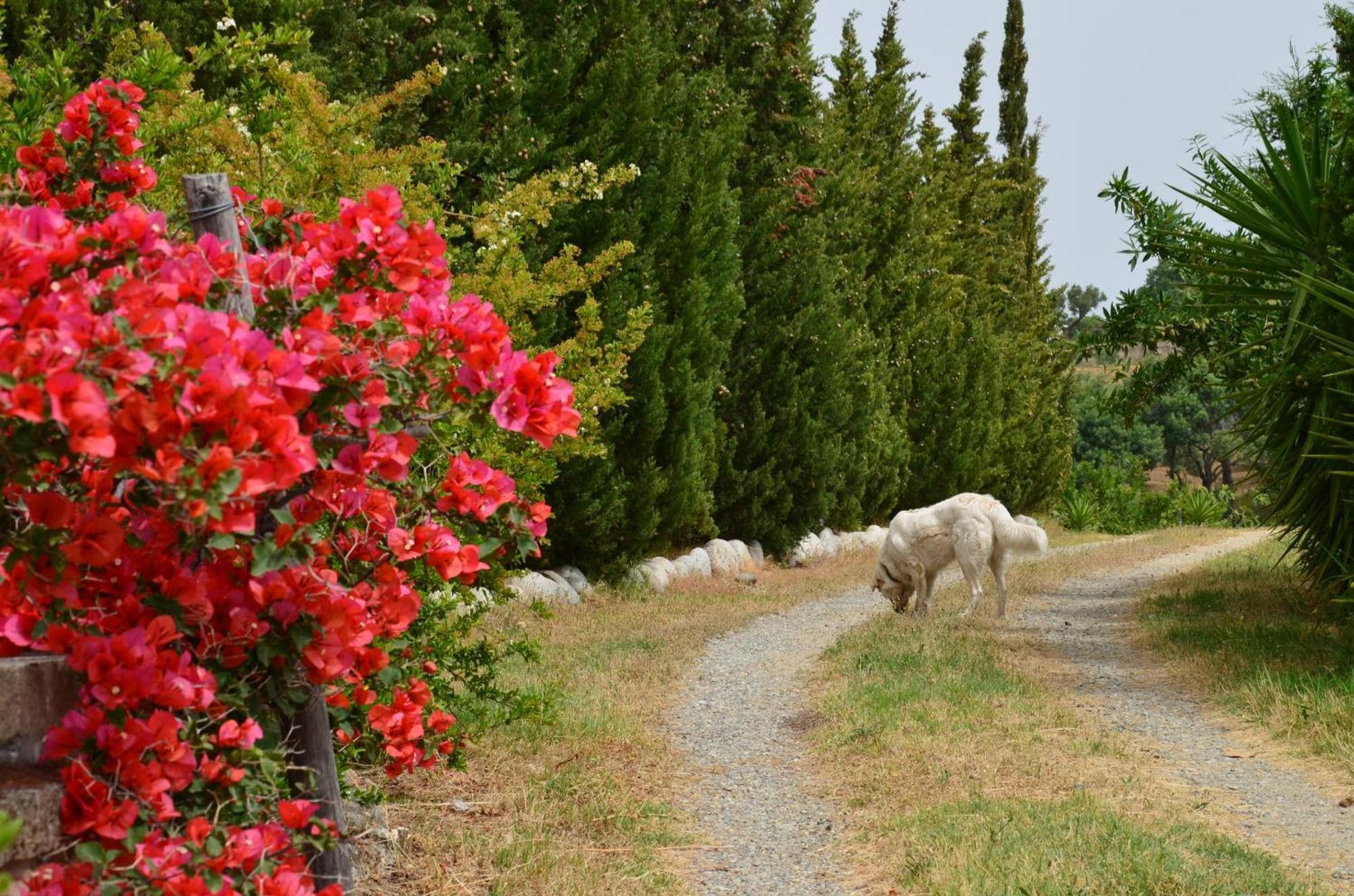 Borgo Piazza Bed & Breakfast Catanzaro Oda fotoğraf