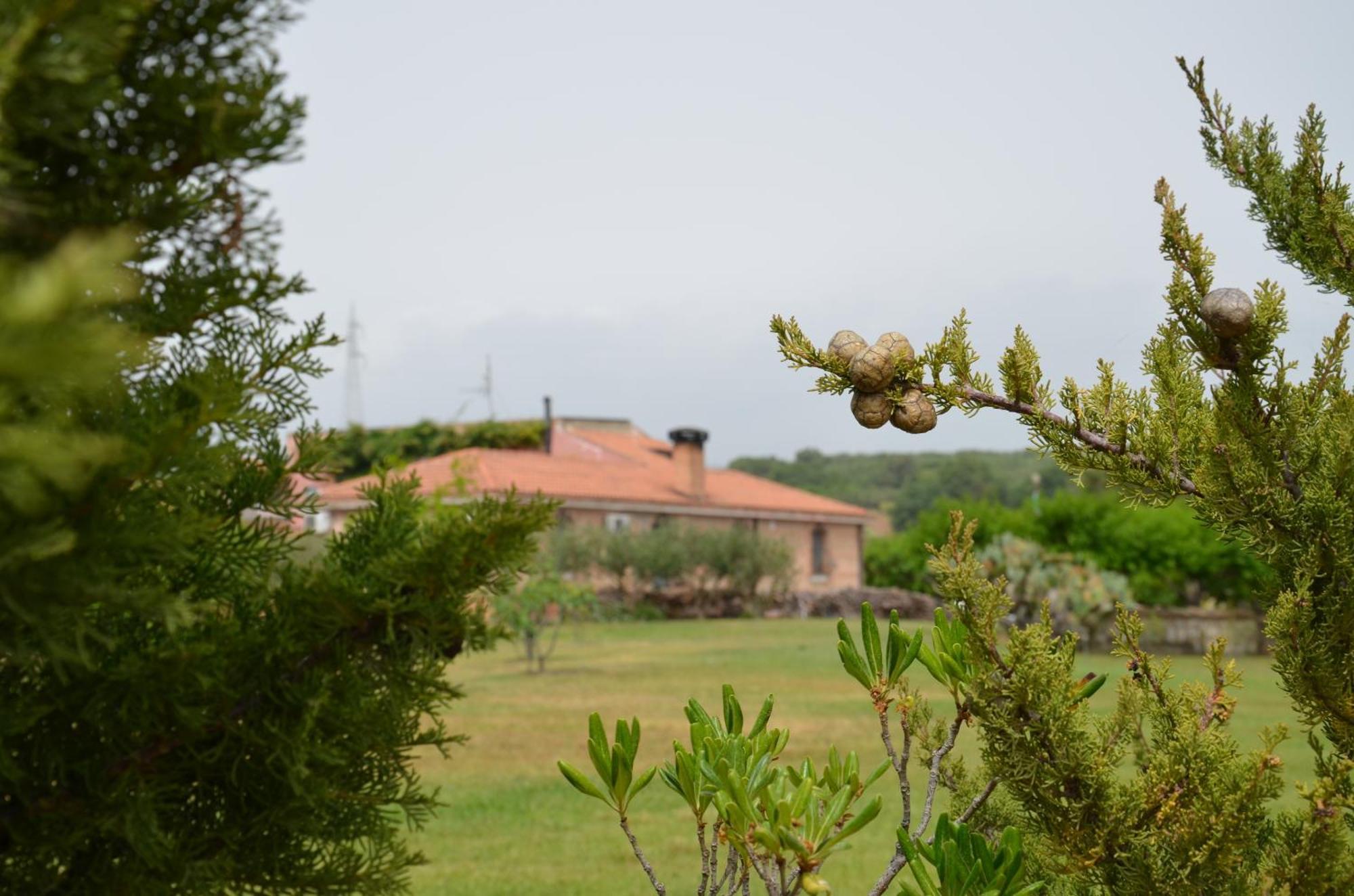 Borgo Piazza Bed & Breakfast Catanzaro Oda fotoğraf